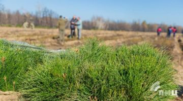 ���������� �������� � ������ ��� � ������� �������� ����� �������� ������ �������� �� ����� ������� ����� 200 ��������