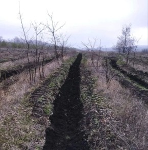 ������� ����������: � ��� �������� ����� 200 �������� ����