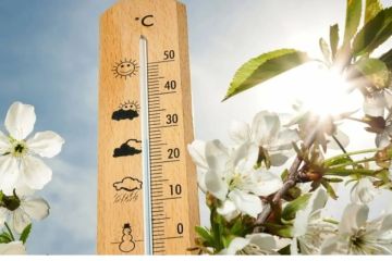 ����� ����. ������ � ��� ������ ������������ �����, �� ���� ����� 30 ������ � �������� � �� ���������� ���������� ����������, ��� ������������ �������, ������� - �������� �����