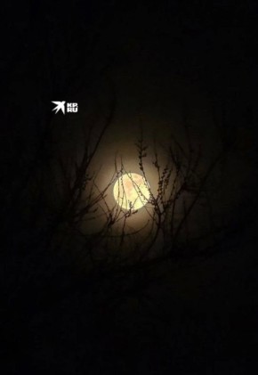 � ������� ��������� ��� ������� ��������� ��������� ����