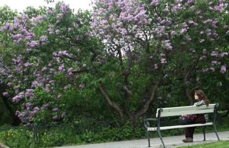 10 ��������������� ��� ��������� �� ����������� �������� �� ���������������