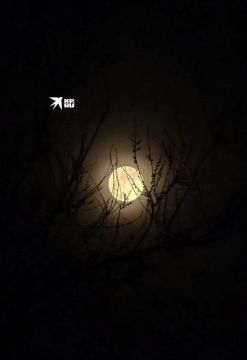 � ������� ��������� ��� ������� ��������� ��������� ����