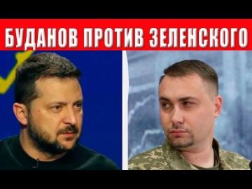 Буданов* против Зеленского