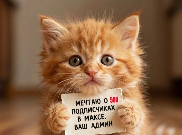 Милоты вам в ленту. Админ ни на что не намекает