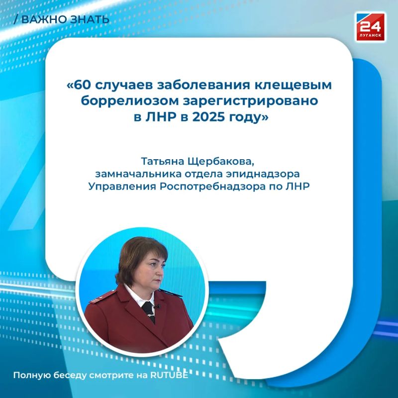 Клещи не помеха: как спастись от насекомых с приходом тепла