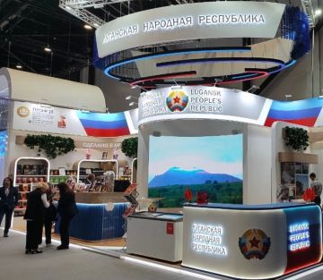 ПМЭФ2026. Петербургский экономический форум — главная деловая площадка страны