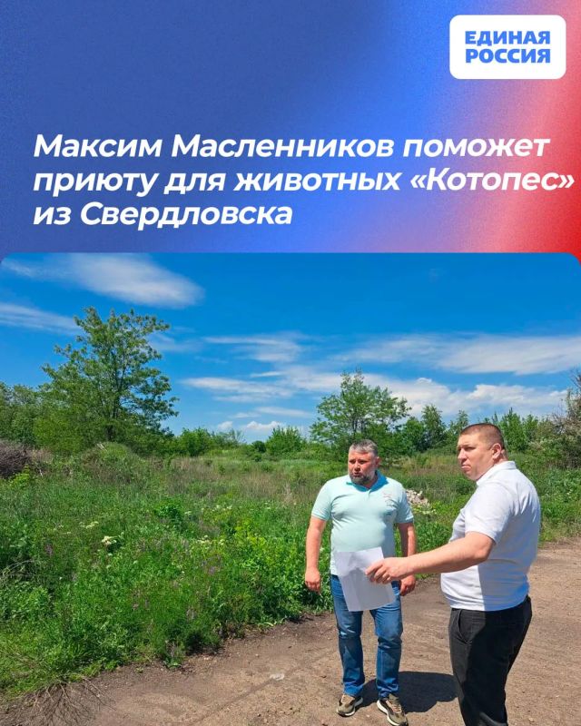 Максим Масленников поможет приюту для животных «Котопес» из Свердловска
