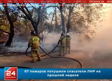 67 пожаров потушили спасатели ЛНР на прошлой неделе