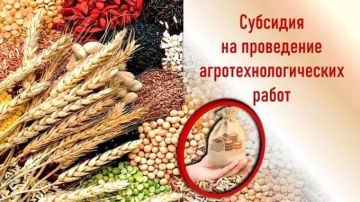 Объявлен отбор получателей субсидий на агротехнологические работы