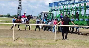 Жеребец из ЛНР — в призёрах «Большого летнего приза» на Краснодарском ипподроме