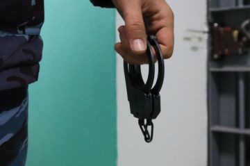 В Крыму задержали украинскую шпионку, собиравшую сведения о научных и образовательных организациях