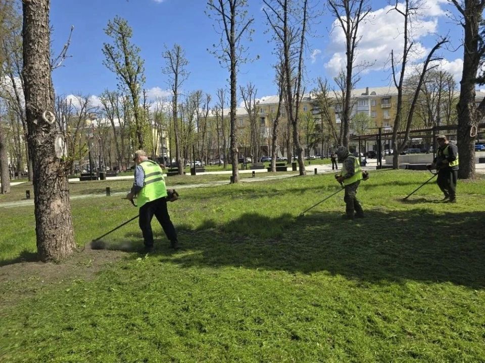 Глава Луганска Яна Пащенко поручила усилить надзор за покосом травы