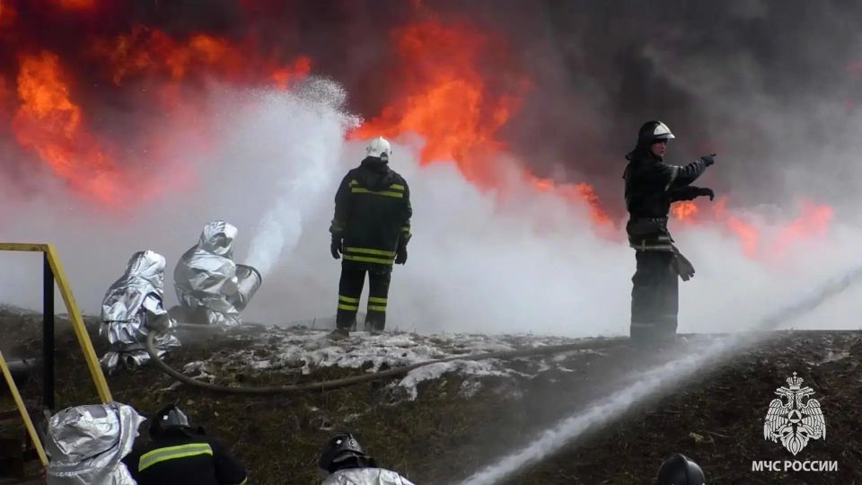 За сутки в ЛНР потушили 12 пожаров