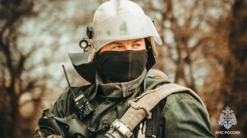 За сутки в ЛНР потушили 10 пожаров