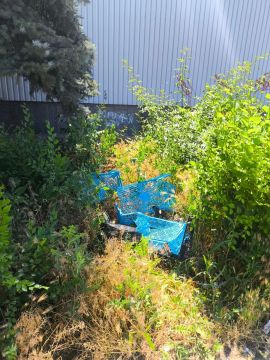 � �������� ������������ ����������� �� ���������������