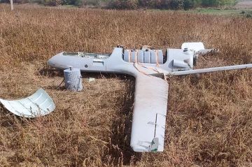 В Эстонии обнаружили украинский дрон со взрывчаткой