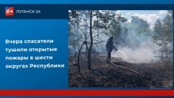 Вчера спасатели тушили открытые пожары в шести округах Республики