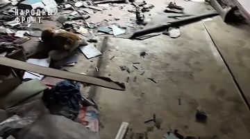 ������� ������ ��������: ��� ����� �� ��������� ������ �������