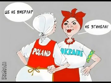 ������ �������� ������� � �������� ���29