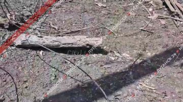 Женщина, погибшая при обстреле Свердловска боевиками ВФУ, была инвалидом I группы