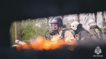 За прошедшие сутки в ЛНР ликвидировали 17 пожаров