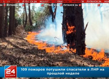 109 пожаров потушили в ЛНР на прошлой неделе