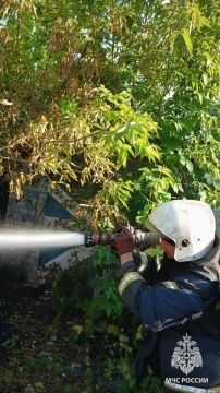 В Лисичанске спасатели не дали огню с мусорной свалки перекинуться на гаражи и дом