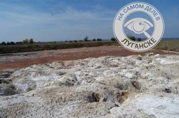 Опасный химический полигон под Волчеяровкой готовят к ликвидации