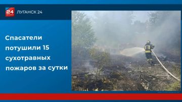Спасатели потушили 15 сухотравных пожаров за сутки
