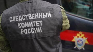 Против экс-судьи из ЛНР Горенко возбудили уголовное дело о мошенничестве