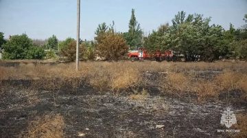 В Рубежном дрон ударил по легковушке — машина загорелась, пламя перекинулось на 400 кв. м сухой травы