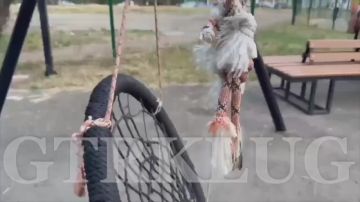 Не успели открыть — уже начали ломать