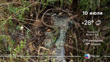 Доброго и мирного утра, Луганская Народная Республика!