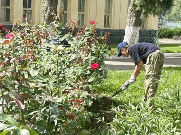Более 90 подростков трудоустроены на предприятия республики