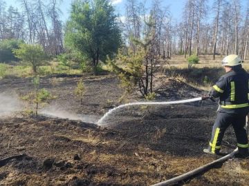 За сутки в ЛНР сгорело почти 100 гектаров травы
