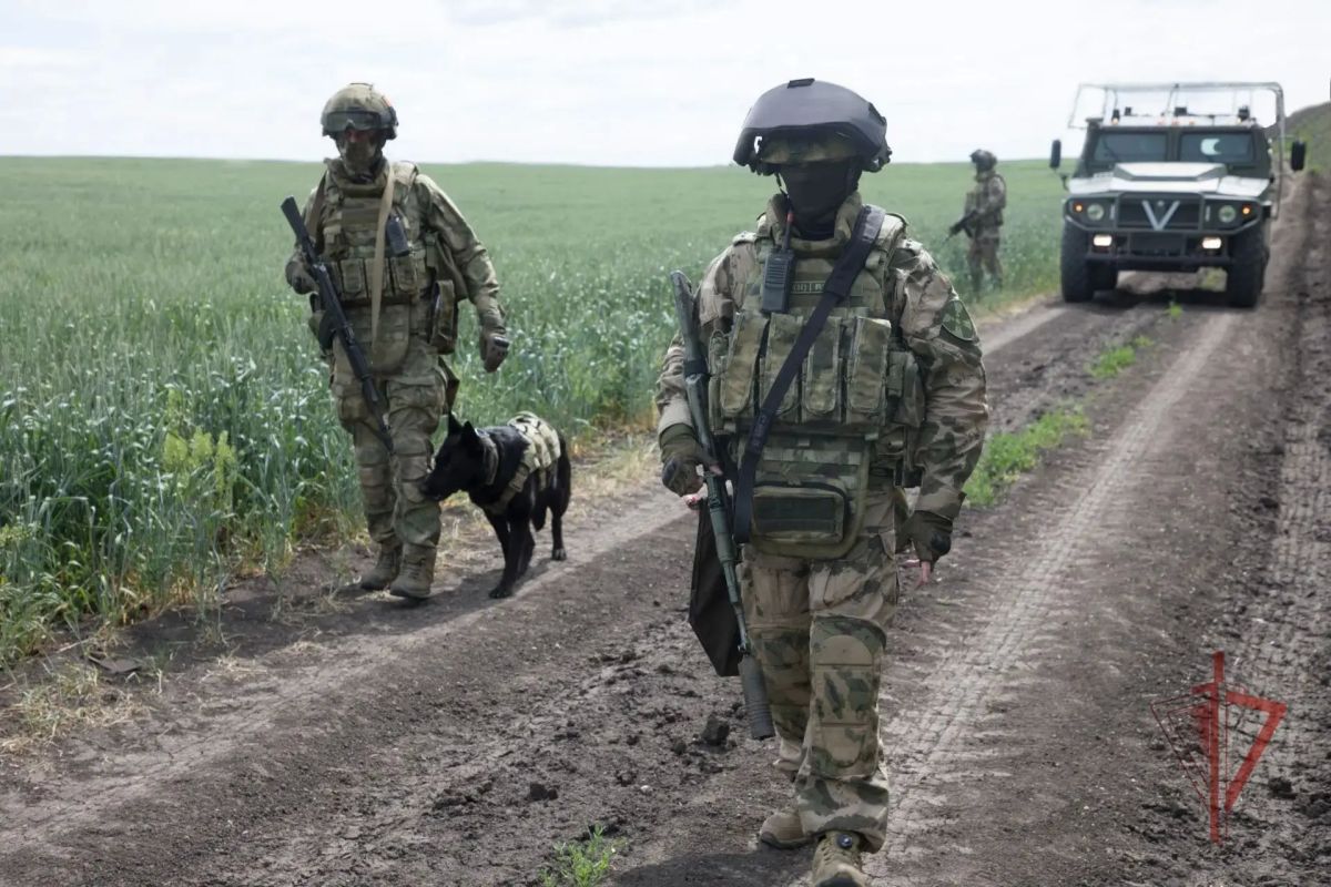 Более 300 взрывоопасных предметов обнаружили росгвардейцы в зоне СВО