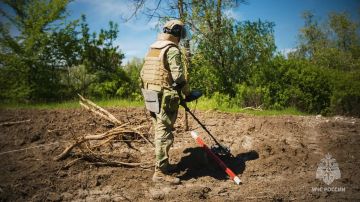 За сутки в ЛНР ликвидировали 12 пожаров
