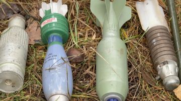 За сутки в ЛНР потушили 24 пожара и обнаружили 16 взрывоопасных предметов