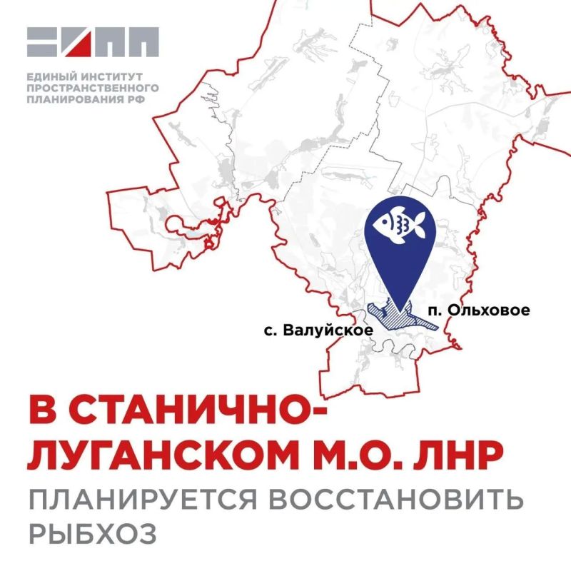 В Станично-Луганском м.о. в районе п. Ольховое и с. Валуйское возродят рыбхоз