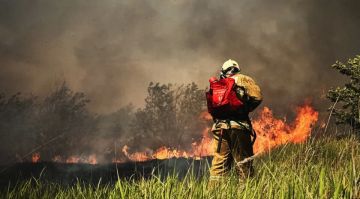 Ландшафтные пожары за сутки охватили около 125 га земли в ЛНР