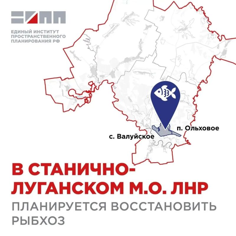 В Станично-Луганском муниципальном округе планируют возродить рыбхоз в районе Ольхового и Валуйского
