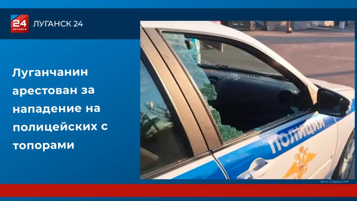 Луганчанин арестован за нападение на полицейских с топорами