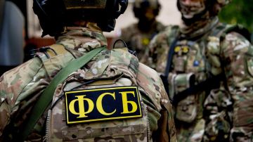 Сотрудничали с Киевом. ФСБ задержала жителей ЛНР по подозрению в госизмене