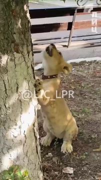 �������, �������� ����� ���������� �� ����� � ��������, ������� ������ ���� � ��������� ��� ����������� ��������� ������������ ������
