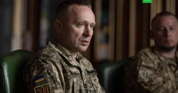Захарова назвала слова главкома ВСУ Драпатого «демонстрацией неонацизма Киева»
