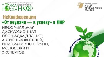 Представители НКО из ЛНР обсудили основные причины неудач общественных проектов