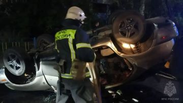 ��������� ��� ������ ������� ��������� ��������������� � ������ ����� ��� ����� 3 � 12 ���, � ����� 30-������ ������� - ���������