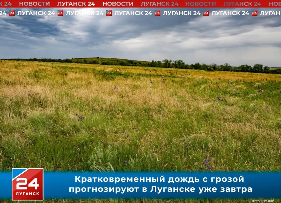 Кратковременный дождь с грозой прогнозируют в Луганске завтра, 26 июля