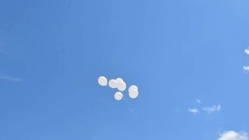� ��������� ������� ������ ����� � ����� ����� � ��������