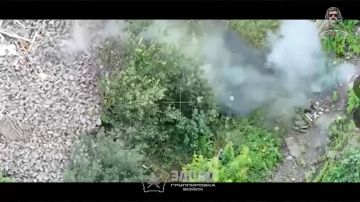 ��������� ��� ������. ���������� ����������� ���������� ��������� � ���� ��������������� ����������� ����� "�����"! ��������� ����������� �� ������� ������ �� ������, � ����������� ����� ����� �� ������� �� ������